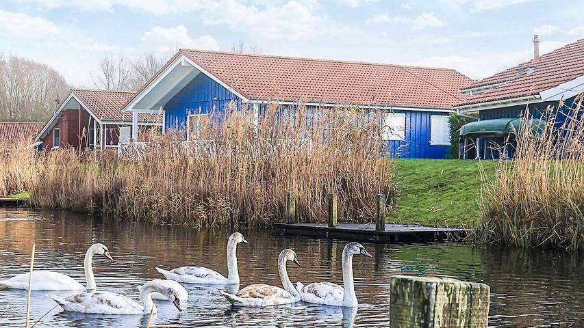 Ferienhaus für 11 Personen, mit Pool und Whirlpool sowie Sauna, mit Haustier an der Nordsee - 2