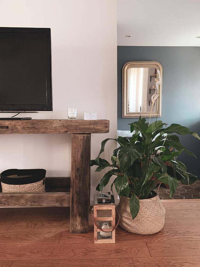 Location de vacances pour 10 personnes, avec vue et jardin, animaux acceptés à Boissise-la-Bertrand - 4