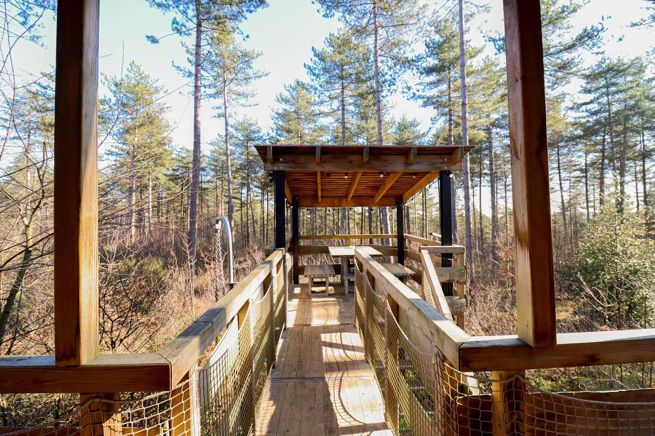 Recreatiedomein Warredal — Treetop in Maaseik, Hoge Kempen