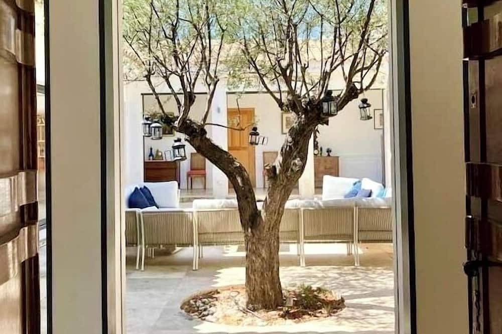 Beachfront Renovated Villa French Riviera - Premium Service : Cook & Housekeeper in Rayol-Canadel-sur-Mer, Côte méditerranéenne (France)