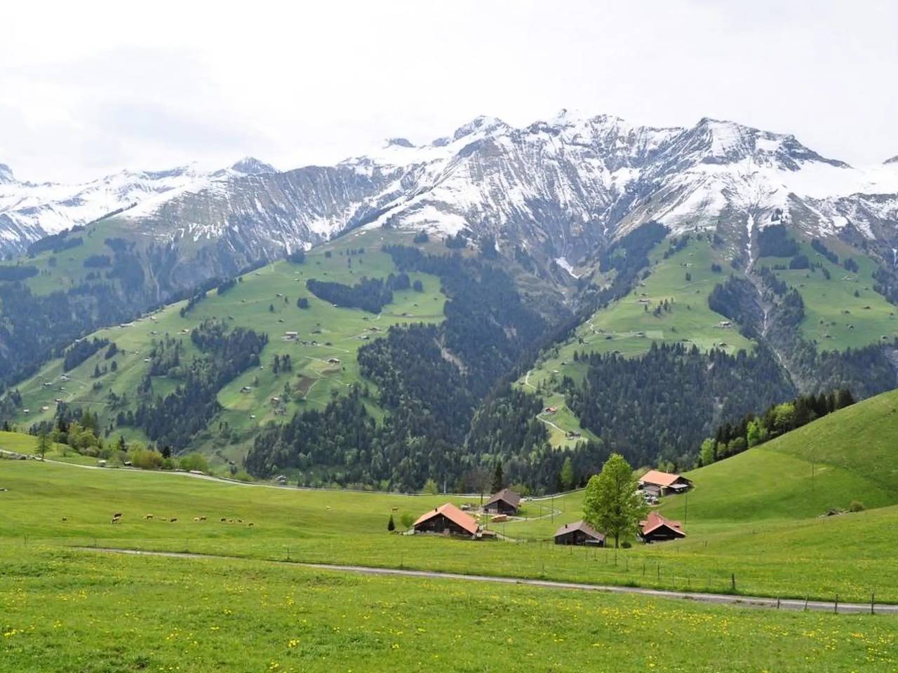 Ganze Wohnung, 5 Pièces 8 Personnes in Frutigen, Frutigen - Lenk - Adelboden
