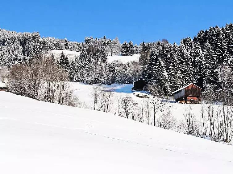 Haus 14 Personen in Stummerberg, Ski-Optimal Hochzillertal