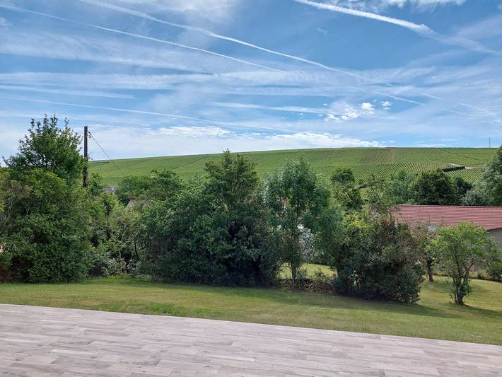 Gîte pour 6 personnes, avec jardin et terrasse dans le Cher - 3