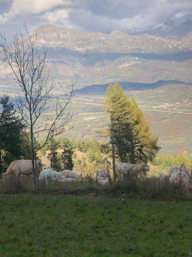 Gîte pour 4 personnes, avec balcon et vue à Laye (homonymie) - 2
