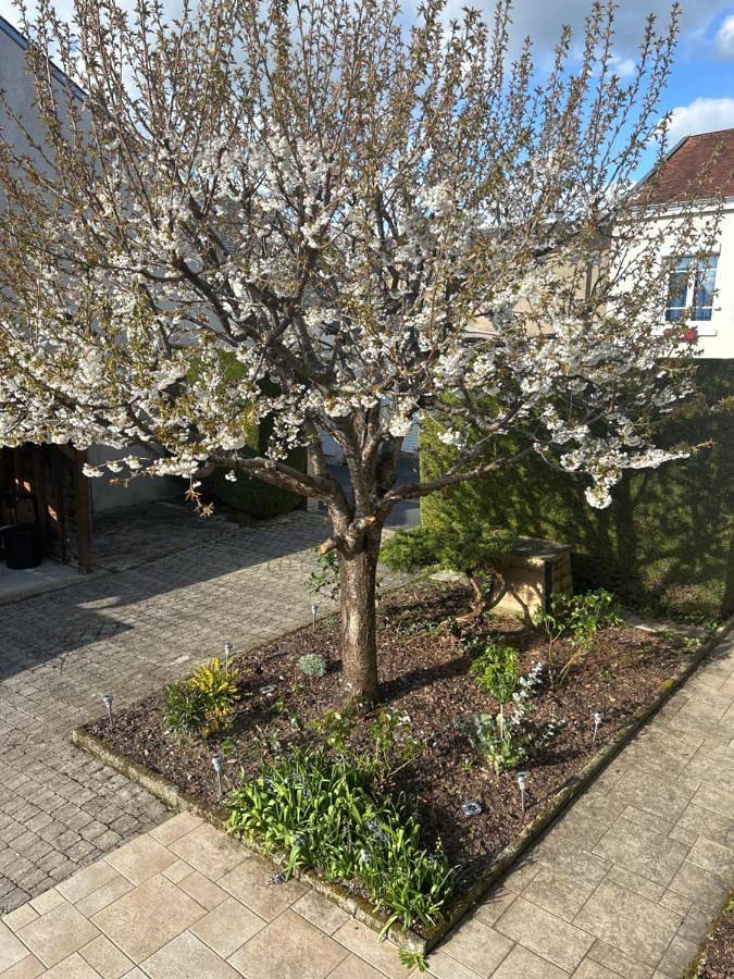 Location de vacances pour 5 personnes, avec terrasse et jardin à Déols - 4