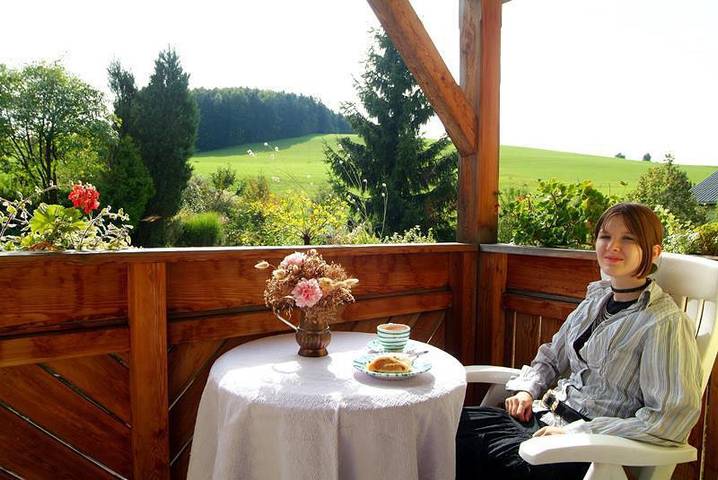 Ferienwohnung, mit Balkon und Terrasse sowie Garten am Traunsee - 3