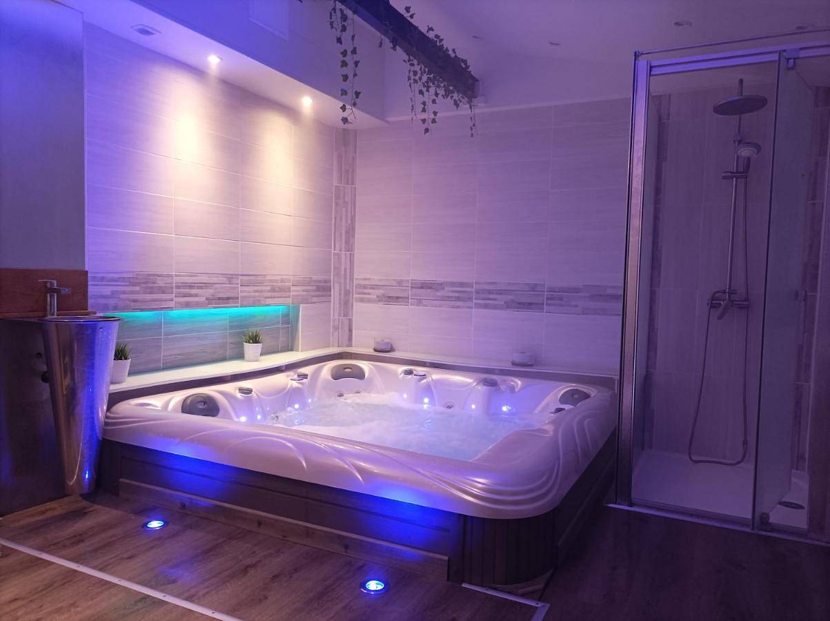 Appartement entier, A l'ombre du Lilas 3 chambres - terrasse - possibilité Spa privatif sur place - possibilité piscine située à 20 minutes in Épinal, Région d'Épinal