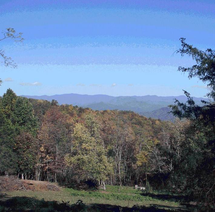 Fazendas e chácaras para 4 pessoas, com terraço em Carolina do Norte