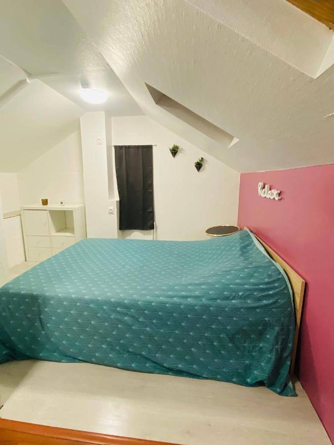 Gîte pour 3 personnes, avec jardin, animaux acceptés à Champigny-sur-Marne - 4