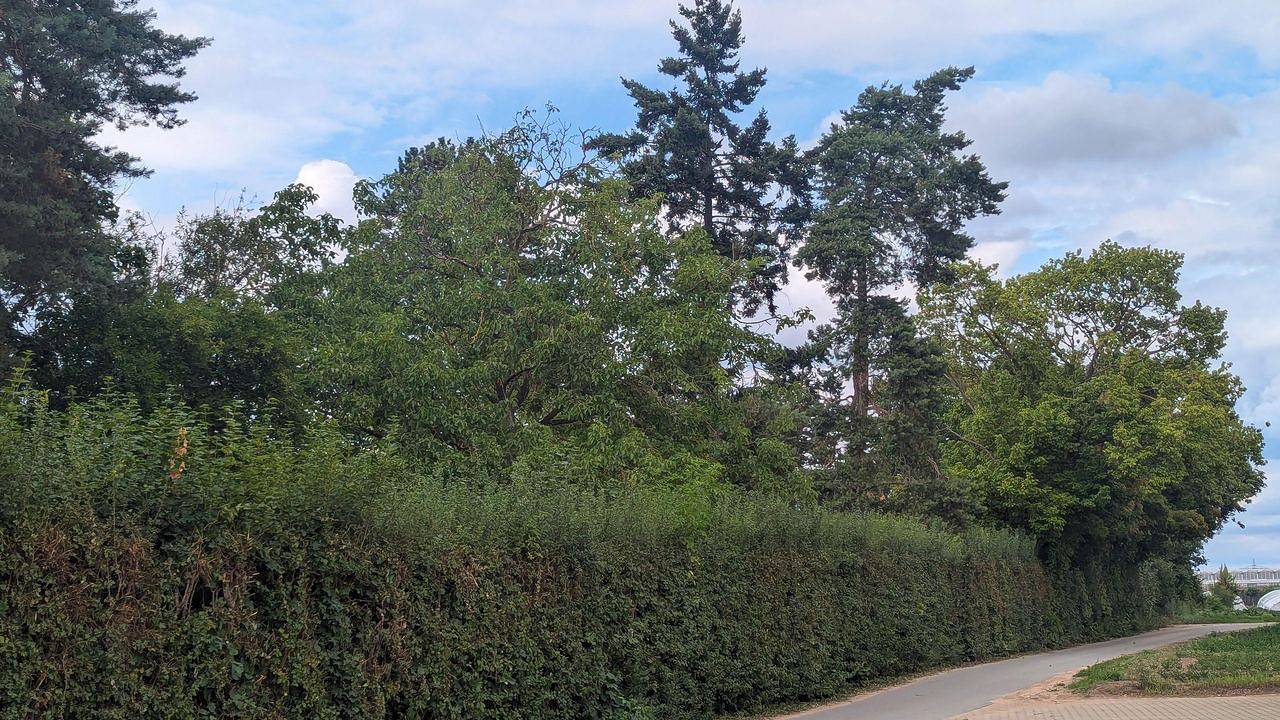 Ganze Ferienwohnung, Ferienwohnung für 6 Personen (80 m²) in Fürth (Bayern) in Fürth, Franken