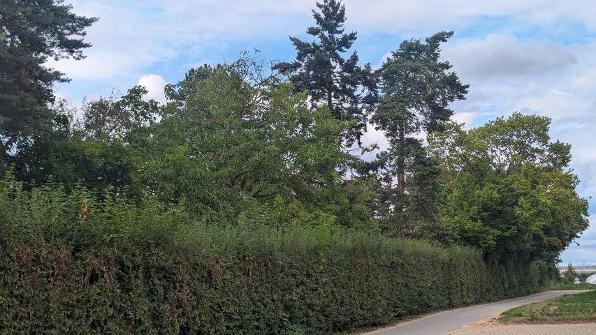 Ferienwohnung für 6 Personen, mit Terrasse in Fürth - 4