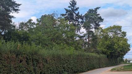 Vakantiewoning voor 6 Personen in Fürth, Middel-Franken, Afbeelding 3