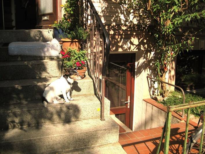 Ferienhaus für 2 Personen, mit Garten in Bremen - 3
