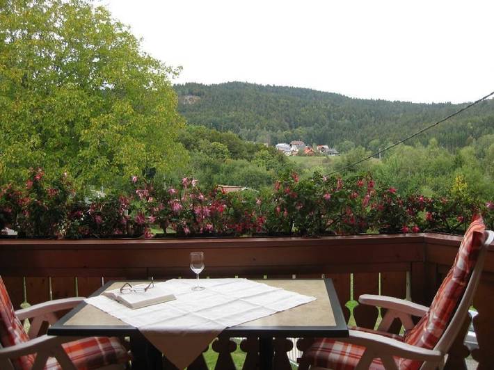 Ferienwohnung für 2 Personen, mit Garten und Balkon, mit Haustier - 1