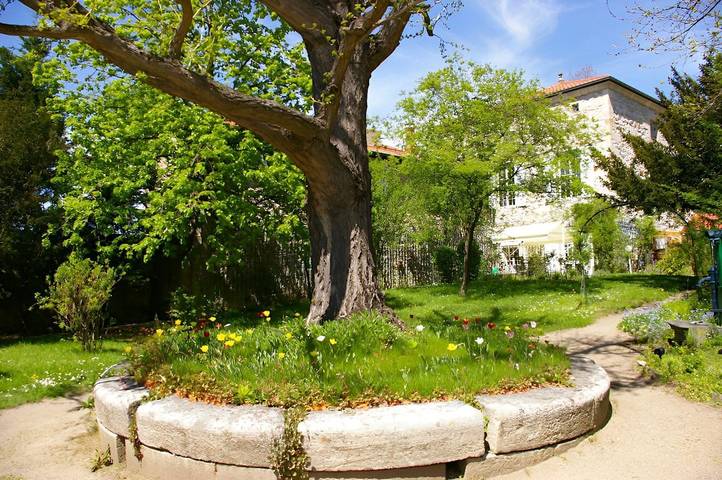 Chambre d’hôte pour 3 personnes, avec jardin et piscine, animaux acceptés en Haute-Loire - 3
