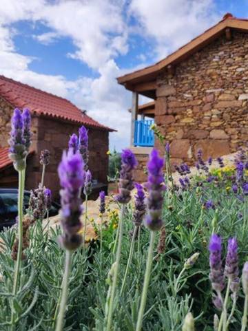 Hôtel pour 3 personnes, avec piscine ainsi que vue et jardin, animaux acceptés dans Codeçoso