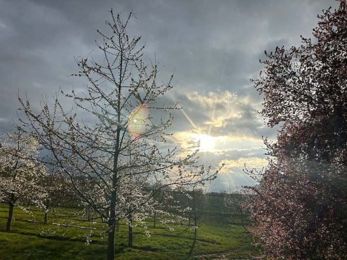 Ferienwohnung für 4 Personen in Durbach - 2