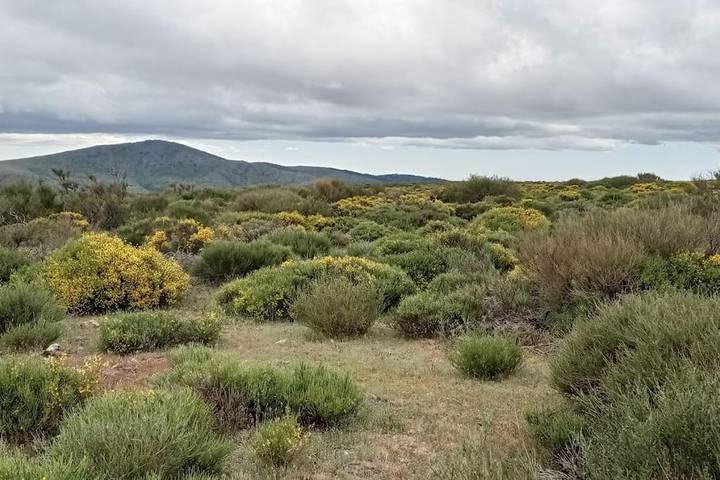 Casa rural para 22 personas, con vistas además de piscina y jardín, Se admiten mascotas en Provincia de Madrid - 4