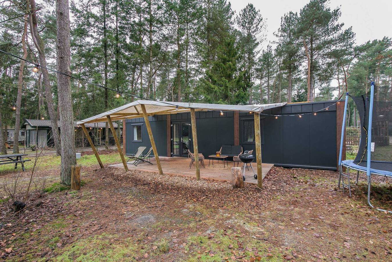 Cozy Chalet w terrace in the Middle of the Forest in Veluwe in Veluwe