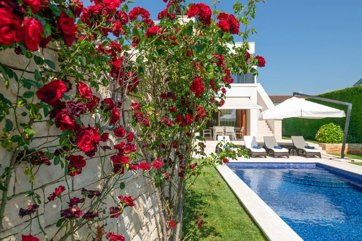 Villa für 6 Personen, mit Garten und Pool, kinderfreundlich in Tar-Vabriga - 4