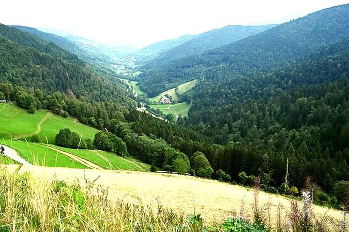 Location de vacances pour 8 personnes, avec balcon et jardin à Sainte-Marie-aux-Mines