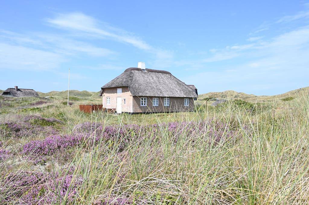 Mitten in den Dünen und ganz nah am Nordseestrand in Ulfborg, Holstebro und Umgebung