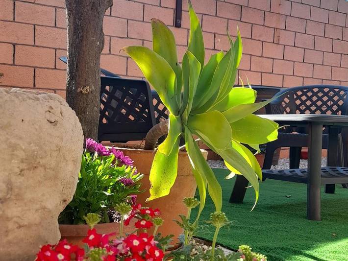 Chambre d’hôte pour 3 personnes, avec vue ainsi que terrasse et jardin à Cabras - 3