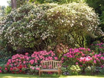 Ferienwohnung für 5 Personen in Westerstede, Ammerland, Bild 2