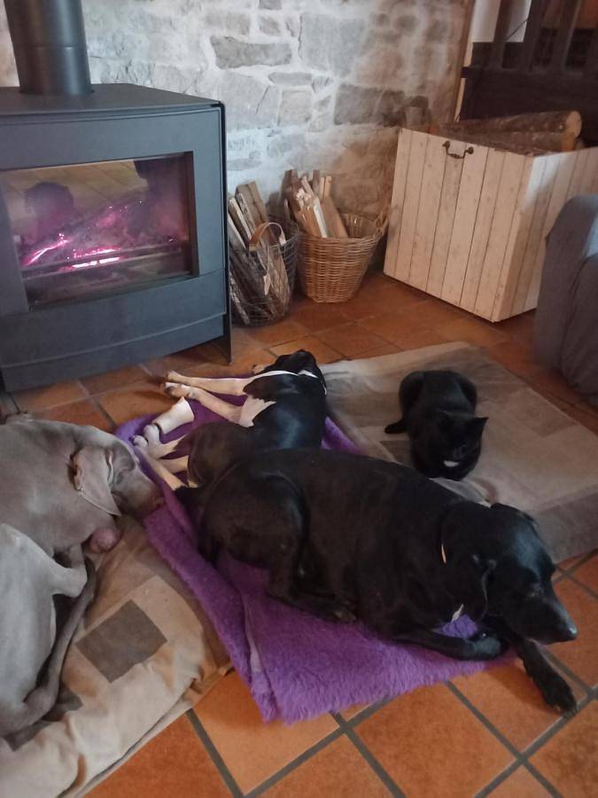 Location de vacances pour 2 personnes, avec piscine ainsi que terrasse et jardin à Saint-Hilaire-les-Places - 4