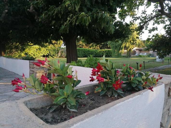 Location de vacances pour 5 personnes, avec terrasse ainsi que piscine et jardin à Jonquières-Saint-Vincent - 4