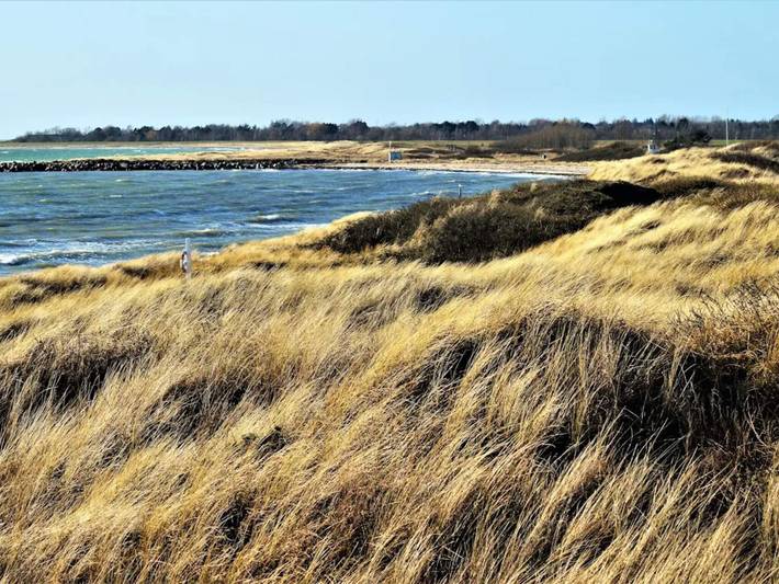 Ferienhaus für 6 Personen, mit Haustier in Dannemare - 4