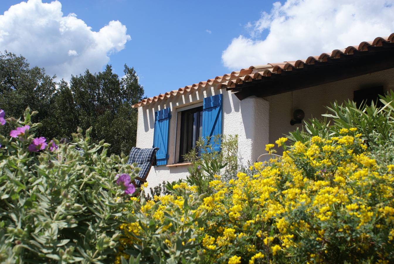 Marcassins 4 in Saint-Jean-de-la-Blaquière, Région de Lodève
