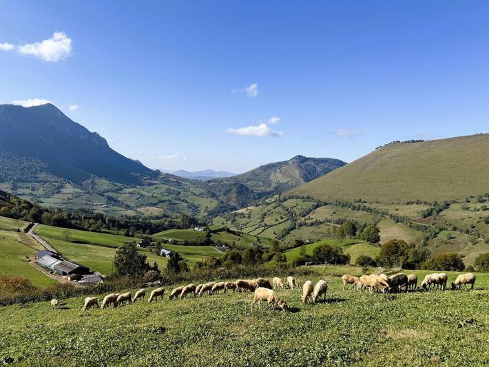 Gîte pour 6 personnes, avec terrasse dans vallée d'Aspe