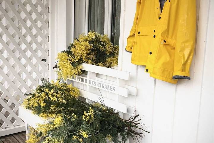 Appartement de vacances pour 4 personnes, avec Terrasse et Jardin