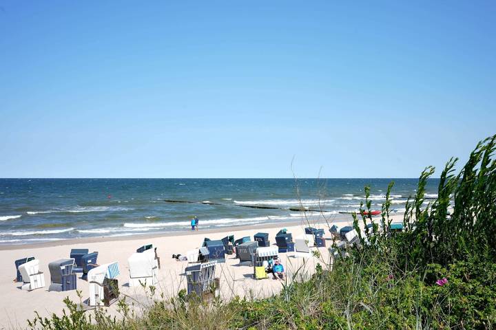 Ferienhaus für 3 Personen, mit Terrasse in Koserow