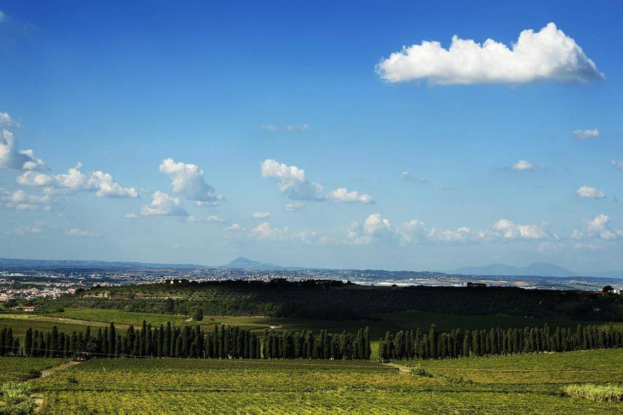 Merumalia Wine Resort in Frascati, Castelli Romani
