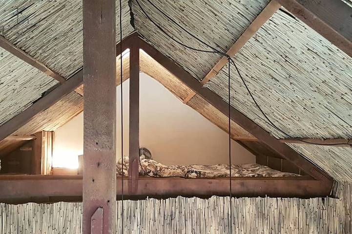 Gîte pour 5 personnes, avec jardin et jacuzzi à Velsen-Zuid - 4