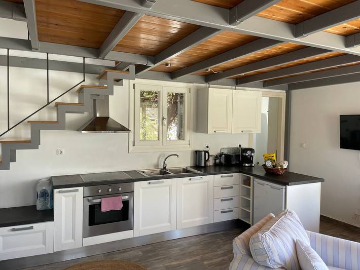 Location de vacances pour 5 personnes, avec balcon ainsi que vue sur l’océan et jardin, adapté aux familles dans Syros - 4