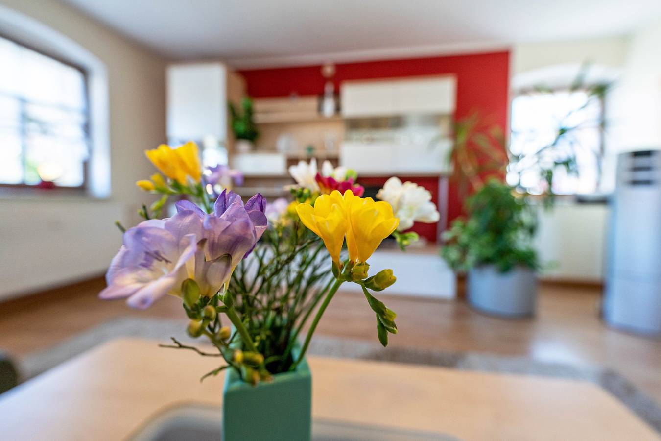 Ganze Wohnung, Ferienwohnung 'Pillnitzer Schlossblick' mit Wi-Fi und Klimaanlage in Loschwitz, Dresden