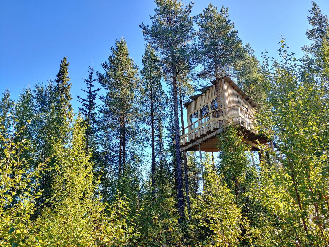 Ganze Wohnung, Aurora Lodge in Lappland (Schweden)