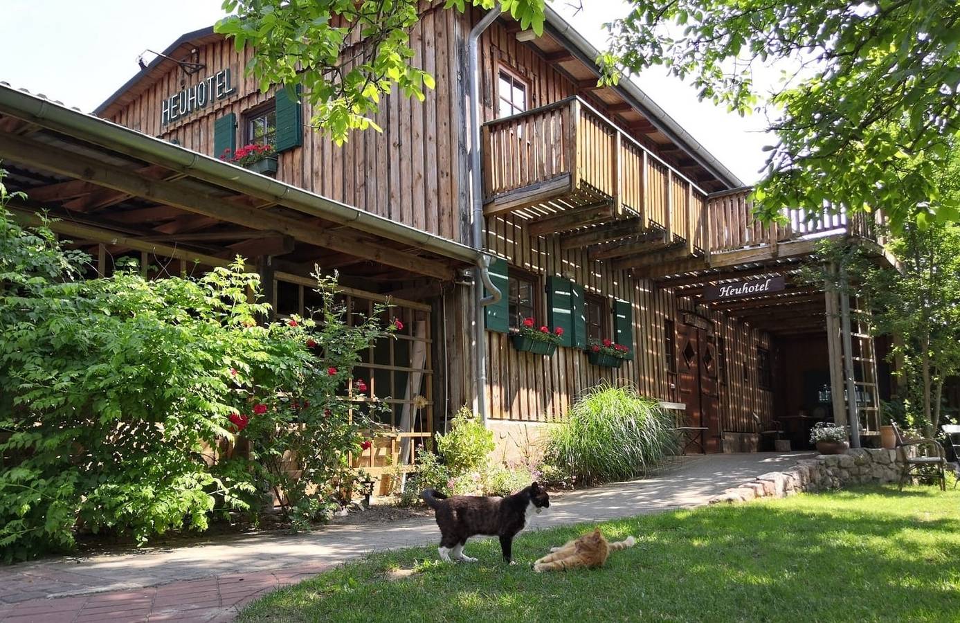 Ferienhof Trapp - Haferkammer in Dahlenburg, Nordheide