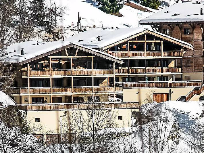 Hütte für 6 Personen, mit Balkon in Ovronnaz