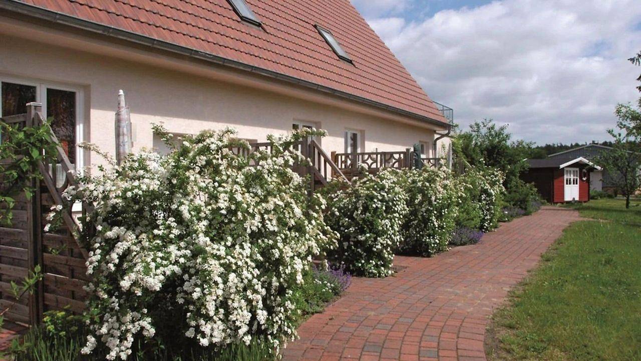Ganze Ferienwohnung, Ferienwohnung für 2 Personen (45 m²) in Buchholz (Müritz) in Buchholz, Müritz