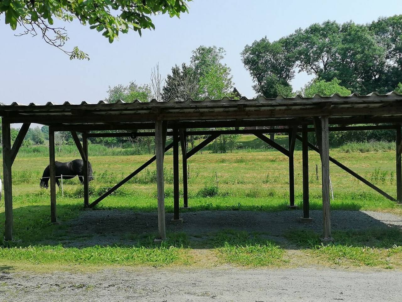 Ganze Ferienwohnung, Plüschenworth - Plüschenworth in Krautsand, Drochtersen