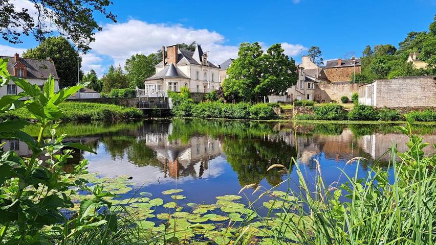 Gîte pour 3 personnes, animaux acceptés à Châteaubriant - 2