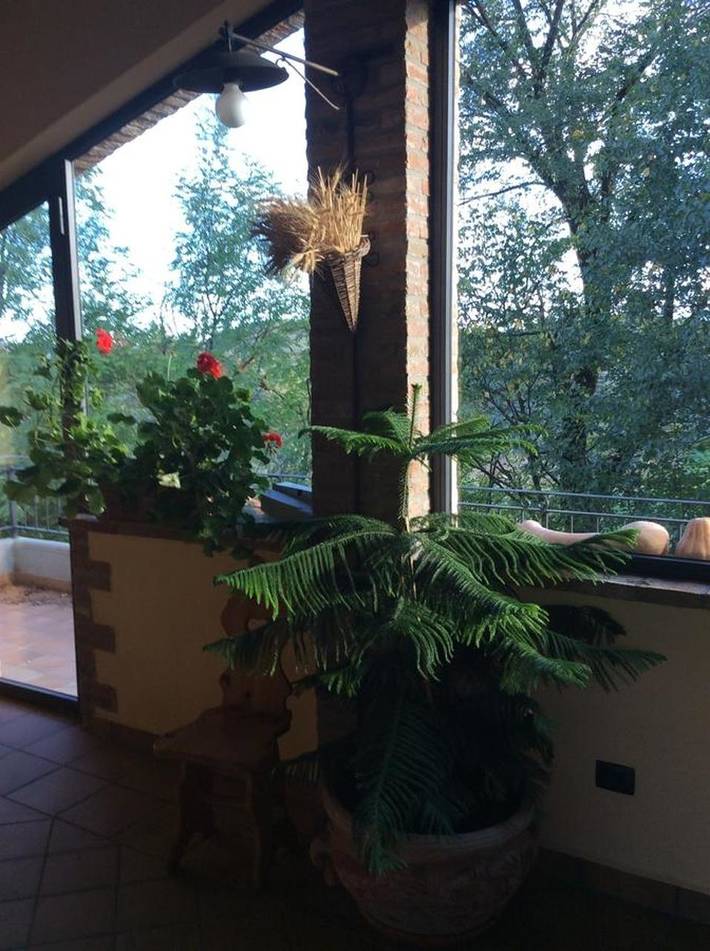 Location de vacances pour 2 personnes, avec piscine ainsi que terrasse et jardin dans Lesignano De Bagni - 3