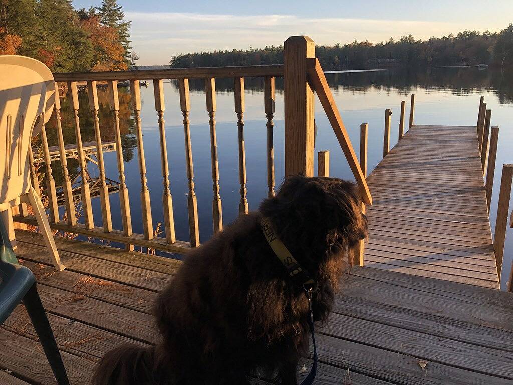 Lake House in Quiet Cove on Lake Winnipesaukee. in Moultonborough, Lake Winnipesaukee