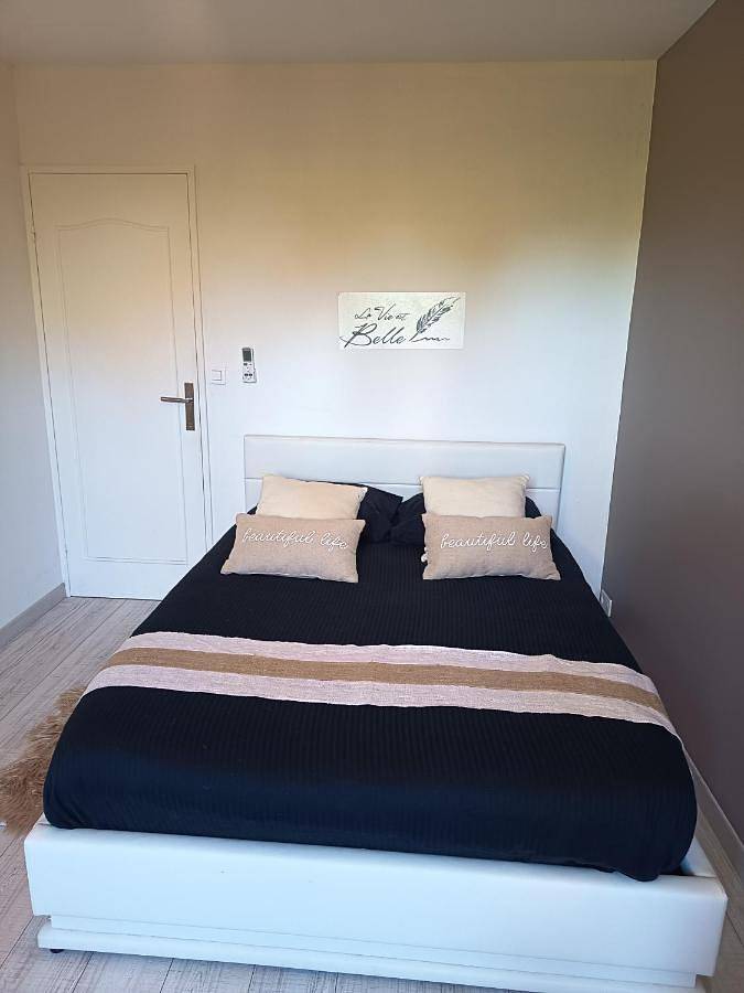 Appartement de vacances entier, Chambre climatisée à louer chez l'habitant in Boigny-sur-Bionne, Vallée de la Loire