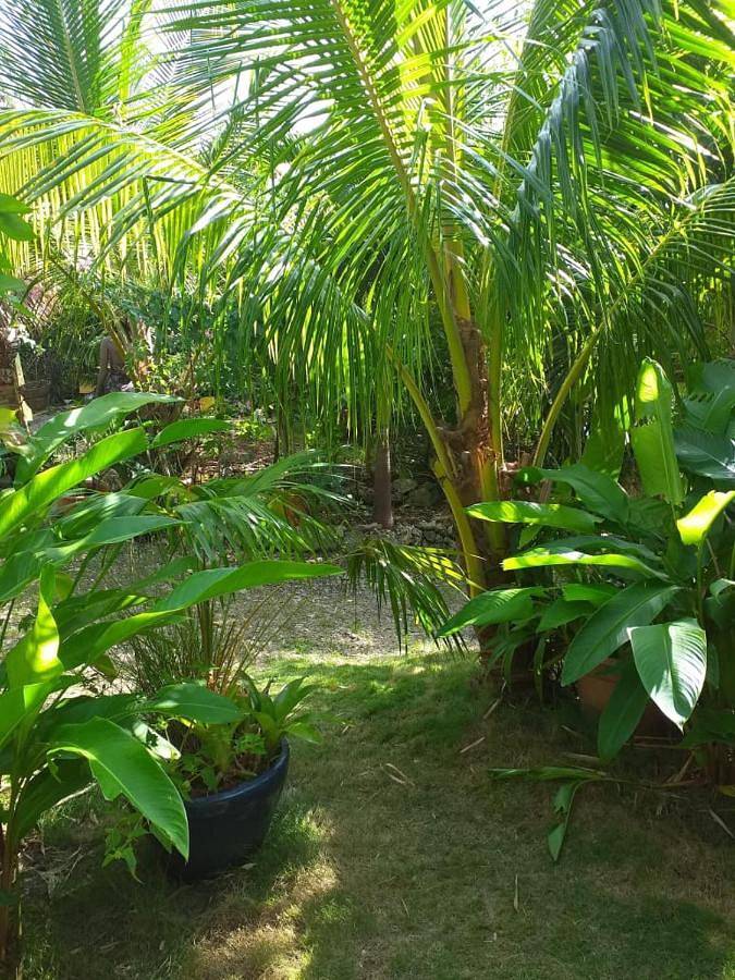 Maison de vacances pour 2 personnes, avec vue et jardin