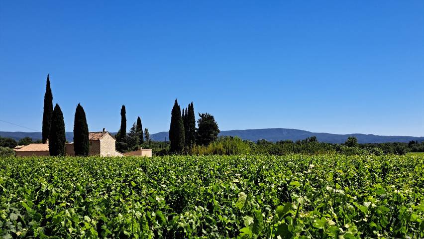 Gîte pour 6 personnes, avec jacuzzi et piscine ainsi que jardin et balcon à Caromb - 2